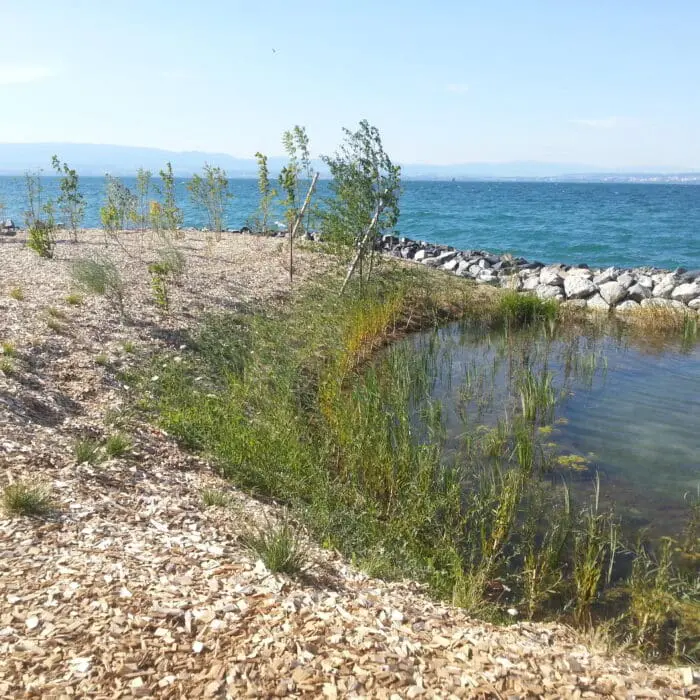 Bassin de rétention d'eau aménagé sur les quais de Neuvecelle, avec vue sur le lac Léman