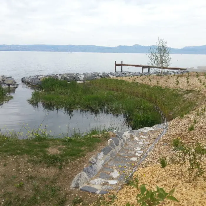 Bassin de rétention d'eau aménagé avec végétation, chemin en pierre et vue sur le lac Léman
