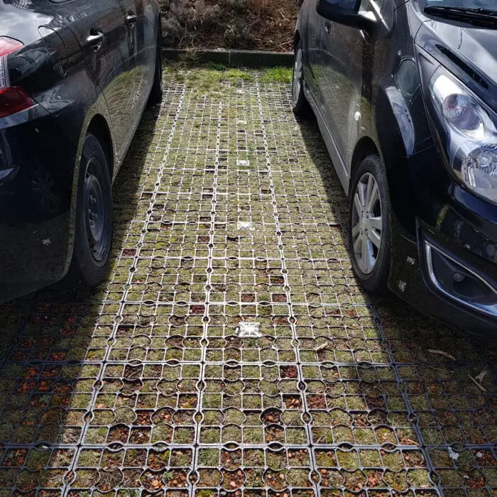 Gros plan sur un parking écologique avec des pavés gazon