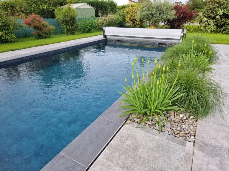 Vue d’ensemble d’une piscine sur mesure avec olivier et massif végétalisé, réalisée par Pernollet Paysage à Armoy.