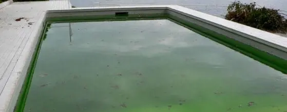 Piscine eau verte