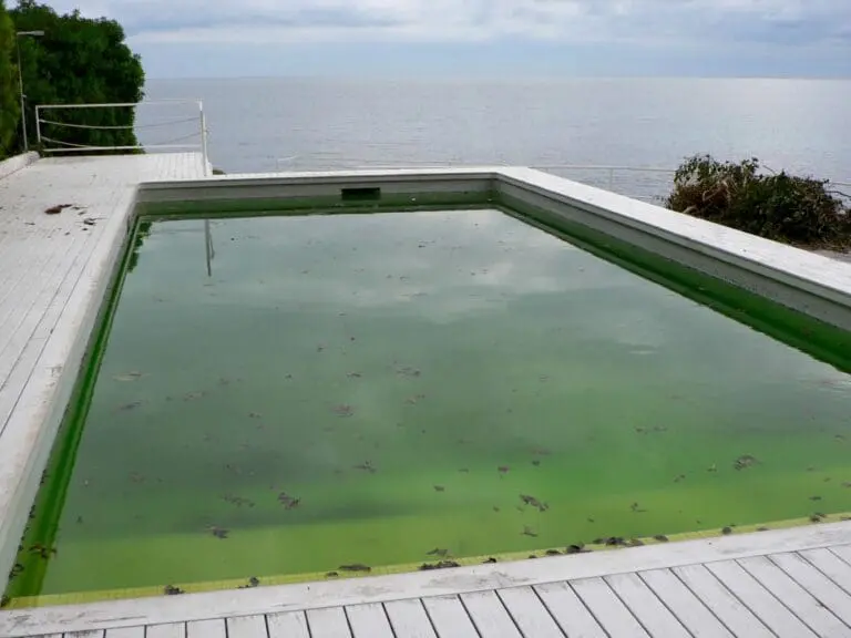 Piscine eau verte