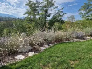 Massif méditerranéen fleuri avec statue de Bouddha pour une ambiance zen