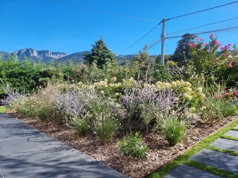 Massifs fleuris colorés et chemin en dalles à Évian